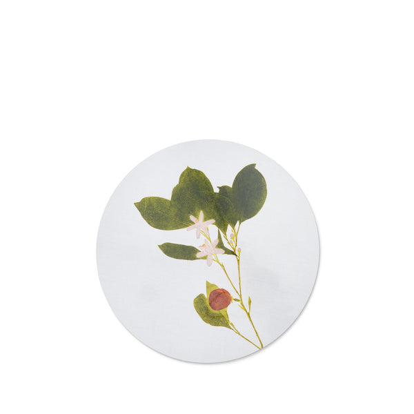 summerill & bishop Herbarium Round Cork-backed Placemat in Citrus 34cm