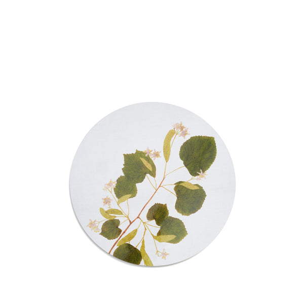 summerill & bishop Herbarium Round Cork-backed Placemat in Limetree 34cm