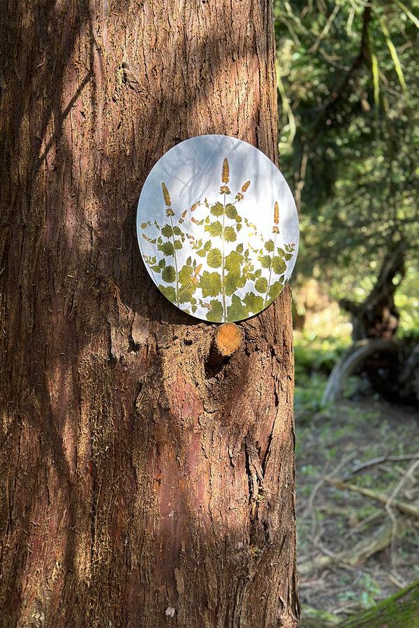 Summerill & Bishop Herbarium Round Cork-backed Placemat In Mint 34cm