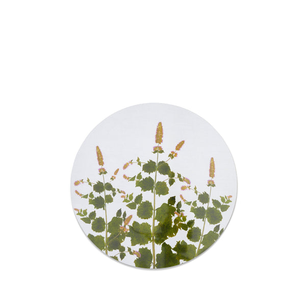 summerill & bishop Herbarium Round Cork-backed Placemat in Mint 34cm