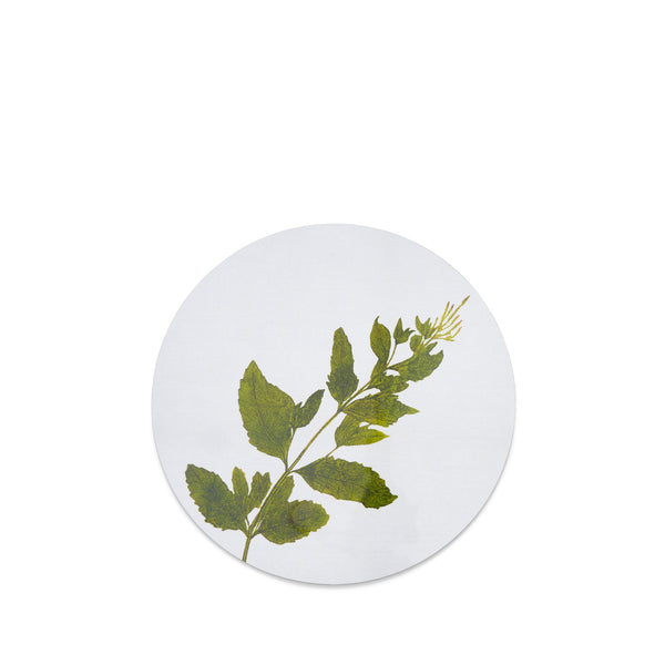 summerill & bishop Herbarium Round Cork-backed Placemat in Verbena 34cm