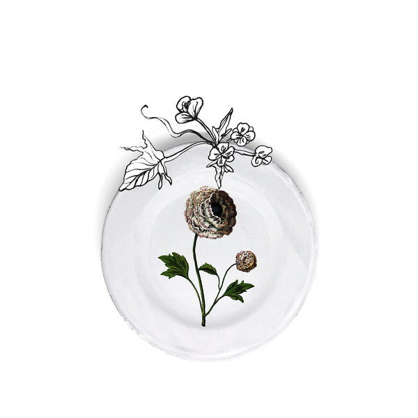 Summerill & Bishop Indian King Ranunculus Plate By Astier De Villatte 22cm