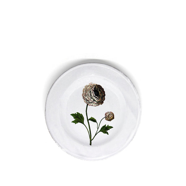 summerill & bishop Indian King Ranunculus Plate by Astier de Villatte 22cm