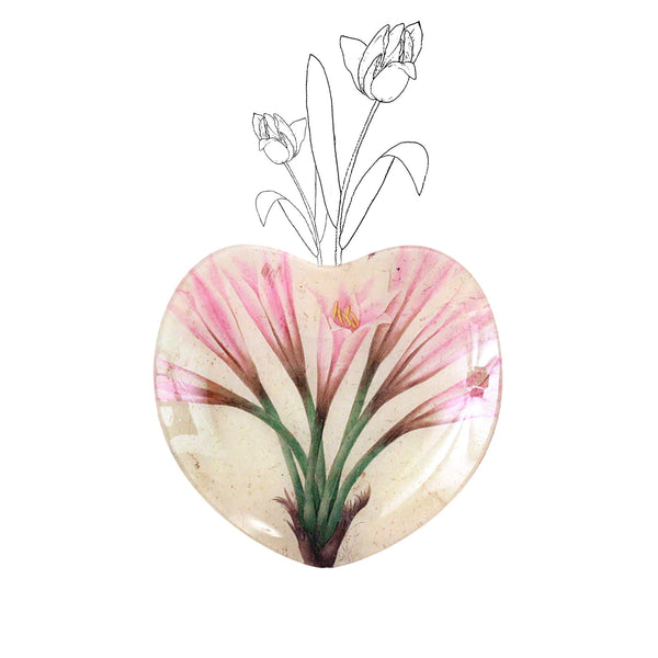 Summerill & Bishop John Derian 'Amaryllis' Heart Dish 20cm