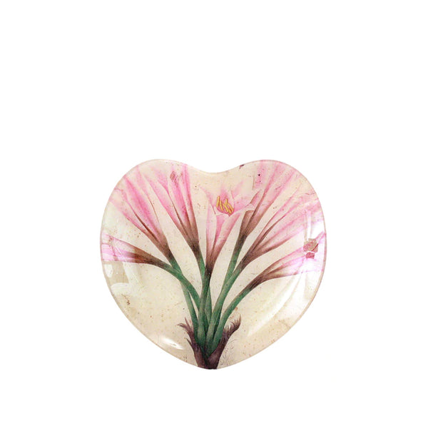 summerill & bishop John Derian 'Amaryllis' Heart Dish 20cm