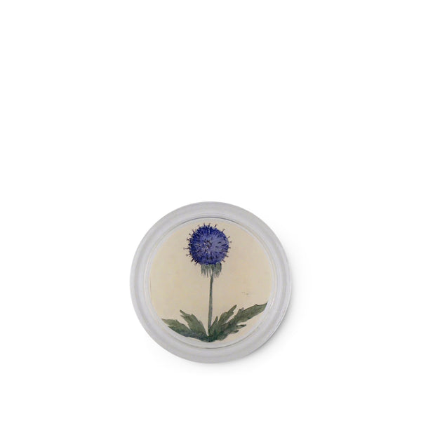summerill & bishop John Derian 'Blue Dandelion' Coaster 10cm