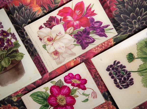 Summerill & Bishop John Derian 'Caryophyllus Maximus' Platter 25 X 33cm