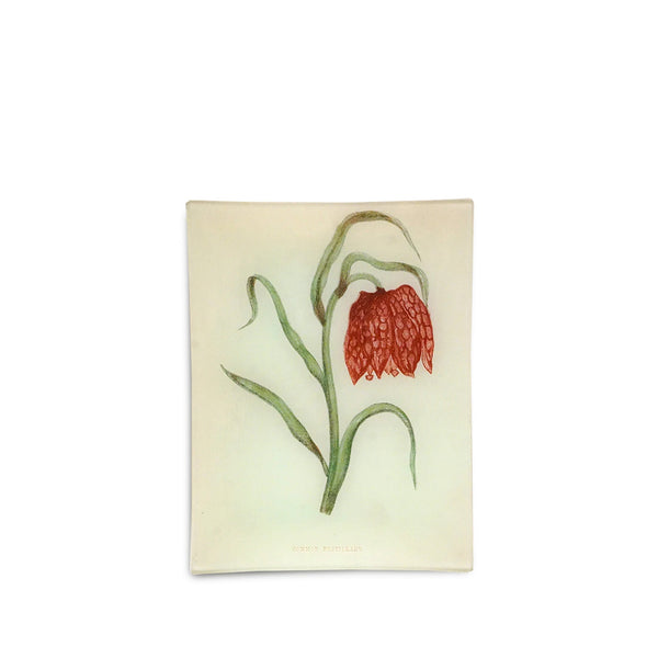 summerill & bishop John Derian 'Common Fritillary' Rectangular Tray 20 x 27cm