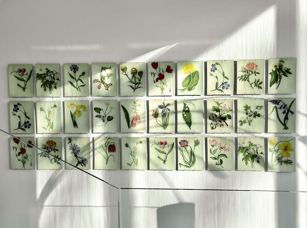 Summerill & Bishop John Derian 'Corn Blue-Bottle' Rectangular Tray 20 X 27cm