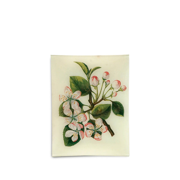 summerill & bishop John Derian 'Crab Apple' Rectangular Tray 20 x 27cm