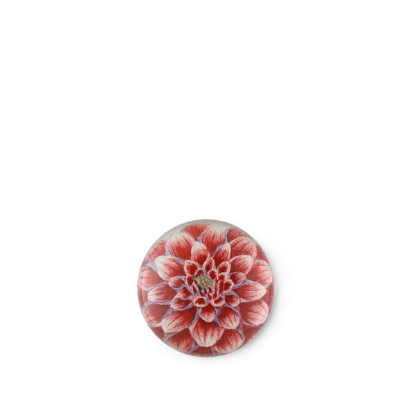 summerill & bishop John Derian 'Dark Pink Dahlia' Paperweight 9cm