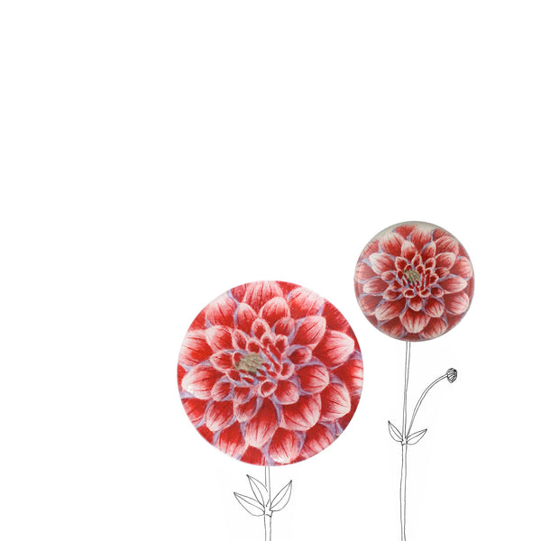 Summerill & Bishop John Derian 'Dark Pink Dahlia' Plate 13cm