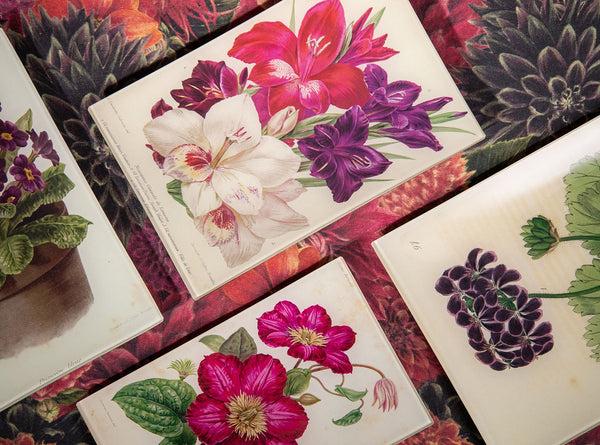 Summerill & Bishop John Derian 'Darwin Tulips' Rectangular Medium Tray 18 X 29cm