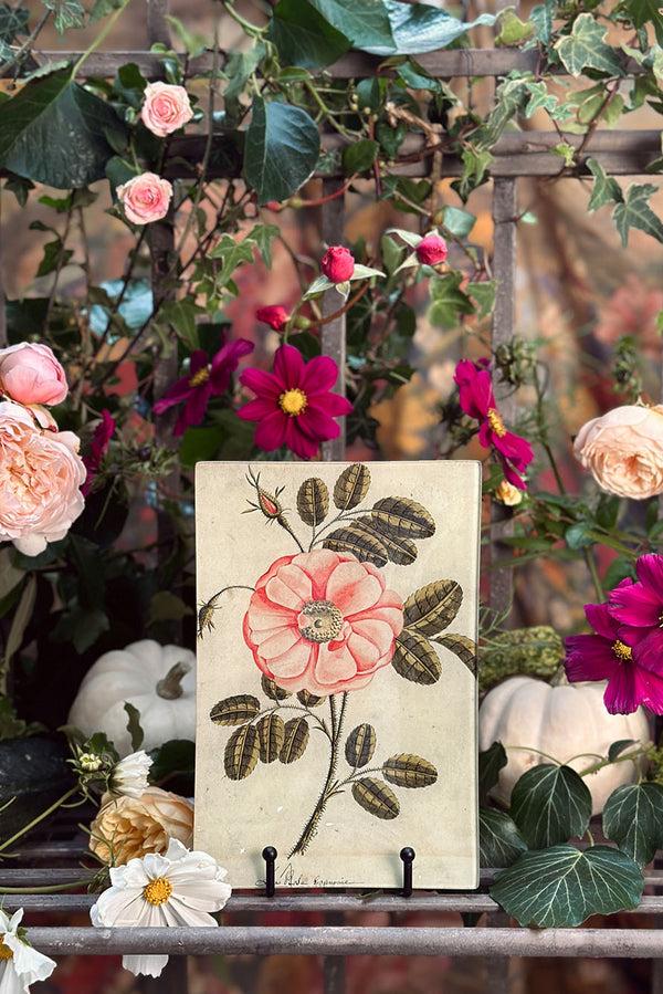 Summerill & Bishop John Derian 'Darwin Tulips' Rectangular Medium Tray 18 X 29cm