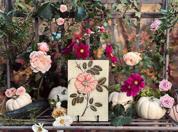 Summerill & Bishop John Derian 'Five Winged' Rectangular Tray 15 X 30cm