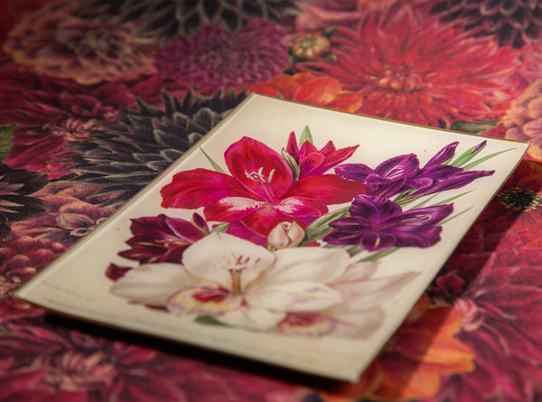 Summerill & Bishop John Derian 'Gladiolas Of Lemoine' Medium Tray 15 X 23cm