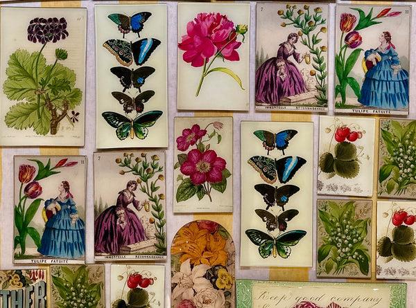 Summerill & Bishop John Derian 'Immortelle Lady' Tray 15 X 23cm