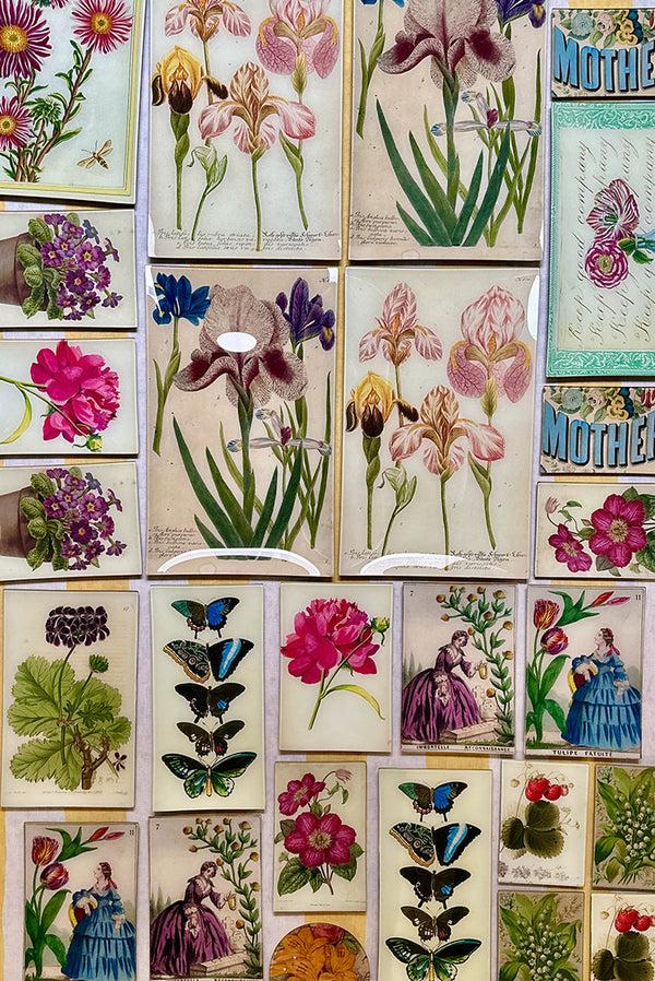 Summerill & Bishop John Derian 'Immortelle Lady' Tray 15 X 23cm