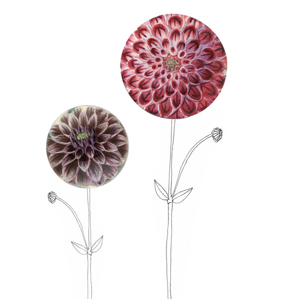 Summerill & Bishop John Derian 'Light Purple Dahlia' Plate 13cm