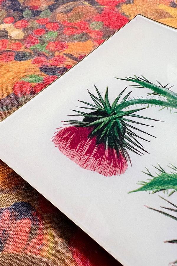 Summerill & Bishop John Derian 'Musk Thistle' Rectangular Tray 20 X 27cm