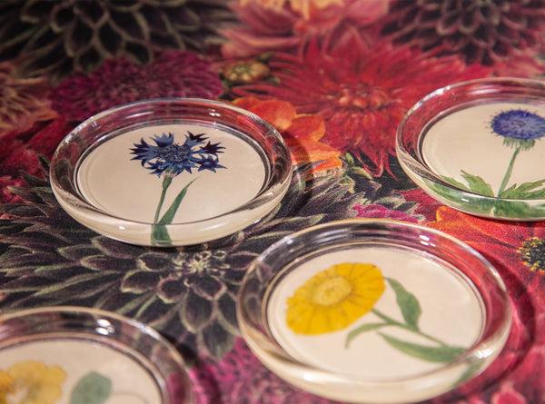 Summerill & Bishop John Derian 'Nasturtium' Coaster 10cm