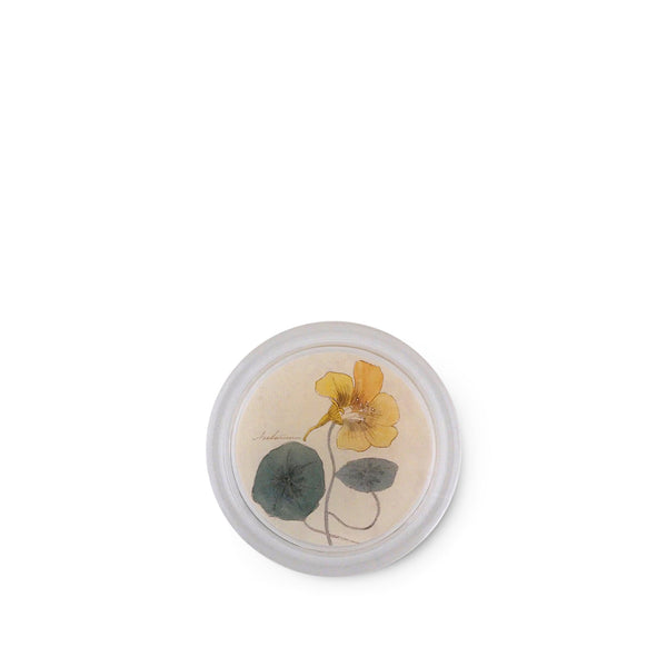 summerill & bishop John Derian 'Nasturtium' Coaster 10cm