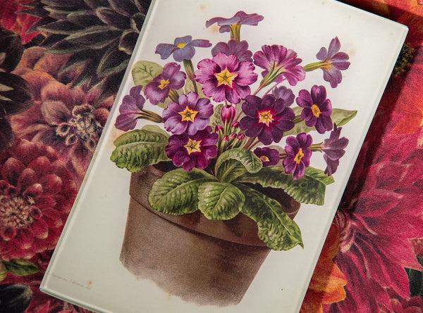 Summerill & Bishop John Derian 'Potted Primrose' Medium Tray 15 X 23cm