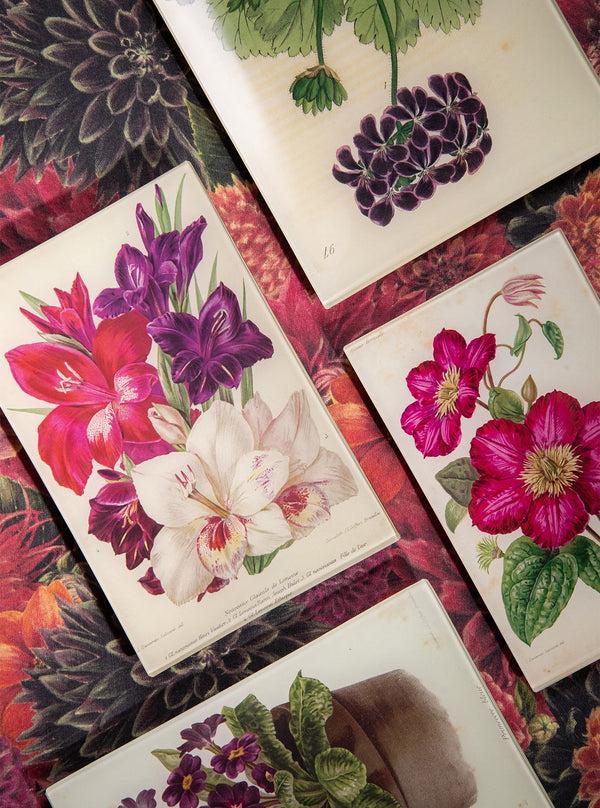 Summerill & Bishop John Derian 'Potted Primrose' Medium Tray 15 X 23cm