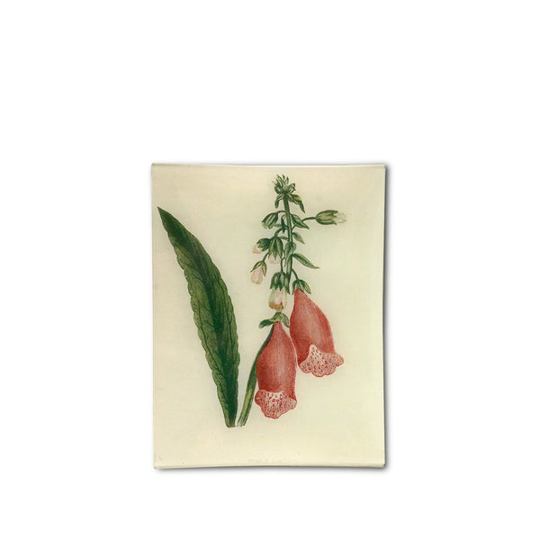 summerill & bishop John Derian 'Purple Foxgloves' Rectangular Tray 20 x 27cm