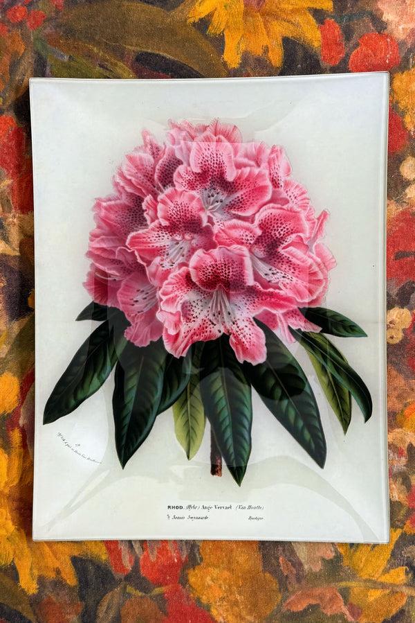 Summerill & Bishop John Derian 'Rhododendron Ange Vervaet' Rectangular Tray 25 X 33cm