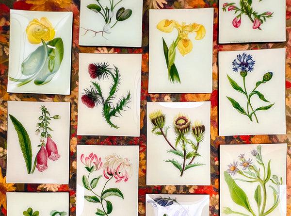 Summerill & Bishop John Derian 'Rhododendron Madame Louis' Rectangular Tray 25 X 33cm