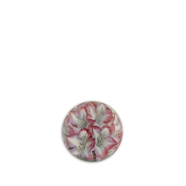 summerill & bishop John Derian 'Rhododendron Princess of Wales' Dome Paperweight 9cm