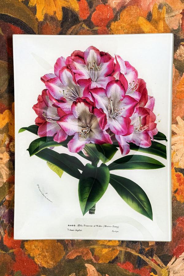 Summerill & Bishop John Derian 'Rhododendron Princess Of Wales' Rectangular Tray 25 X 33cm