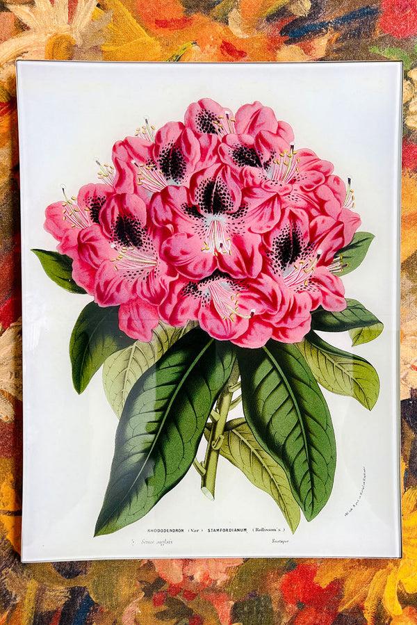 Summerill & Bishop John Derian 'Rhododendron Stamfordianum' Rectangular Tray 25 X 33cm