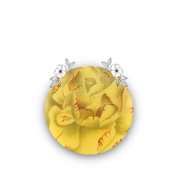 Summerill & Bishop John Derian Round 'Dianthus G' Plate In Yellow 20cm
