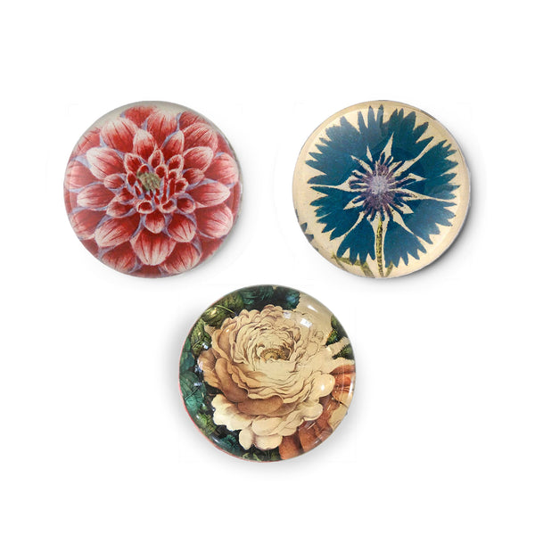 Summerill & Bishop John Derian 'Sepia Rose Close Up' Paperweight 9cm