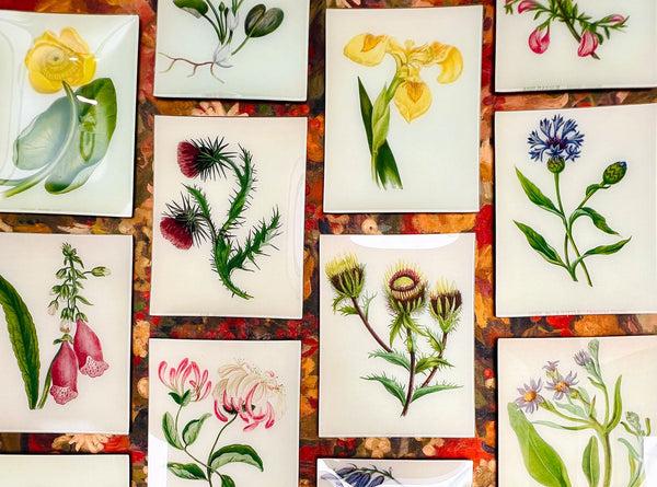 Summerill & Bishop John Derian 'The Vase Of Flowers II' Rectangular Tray 28 X 35.5cm