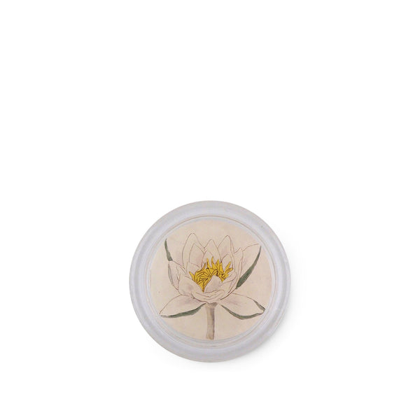 summerill & bishop John Derian 'Water Lily' Coaster 10cm