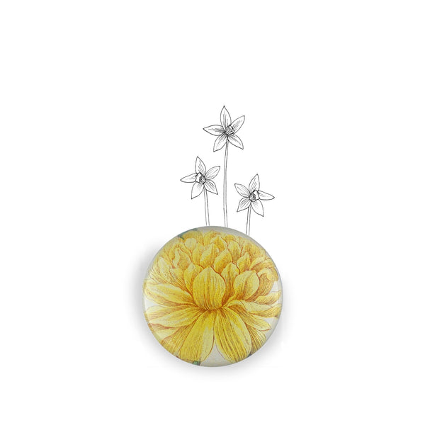 Summerill & Bishop John Derian 'Yellow Narcissus On Stem' Paperweight 9cm