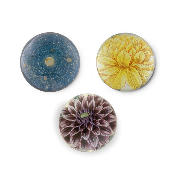 Summerill & Bishop John Derian 'Yellow Narcissus On Stem' Paperweight 9cm