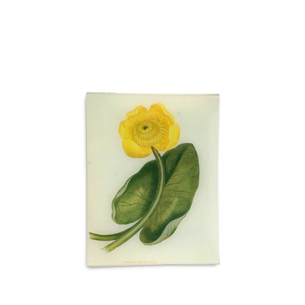 summerill & bishop John Derian 'Yellow Water Lily' Rectangular Tray 20 x 27cm