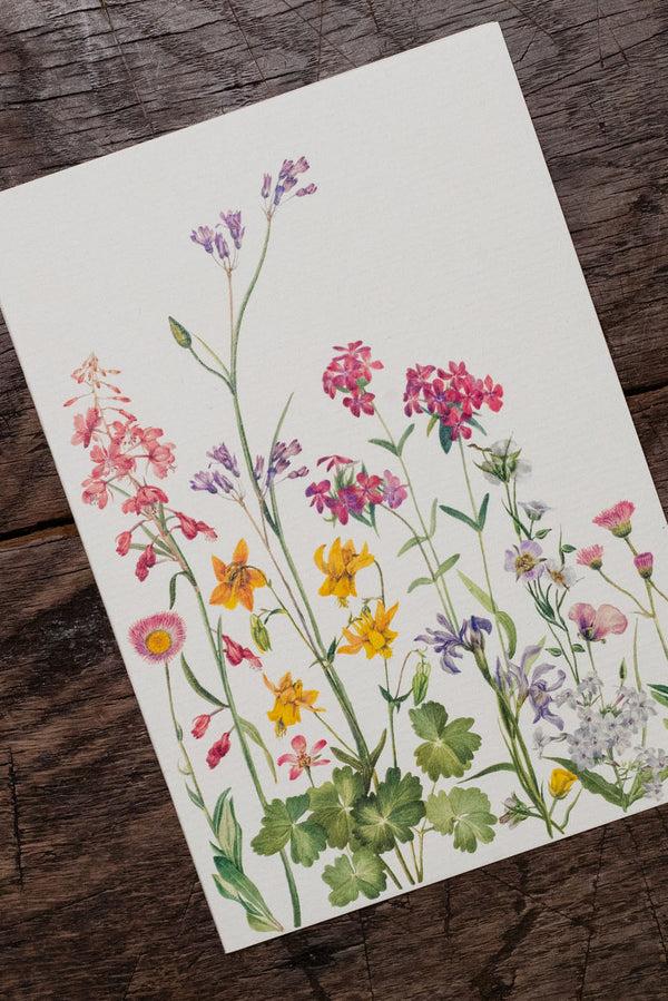 Summerill & Bishop 'June's Flowers' Greeting Card 15cm X 10cm (A6)