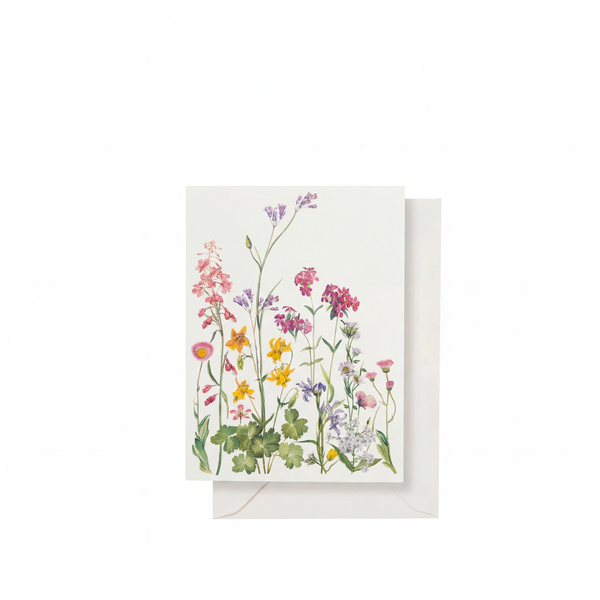 summerill & bishop 'June's Flowers' Greeting Card 15cm x 10cm (A6) summerill & bishop 'June's Flowers' Greeting Card 15cm x 10cm (A6)