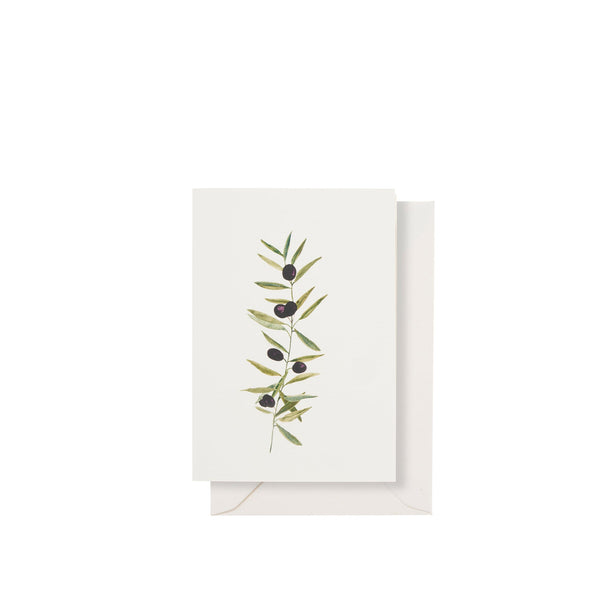 summerill & bishop 'L'Olivier' Greeting Card 15cm x 10cm (A6)