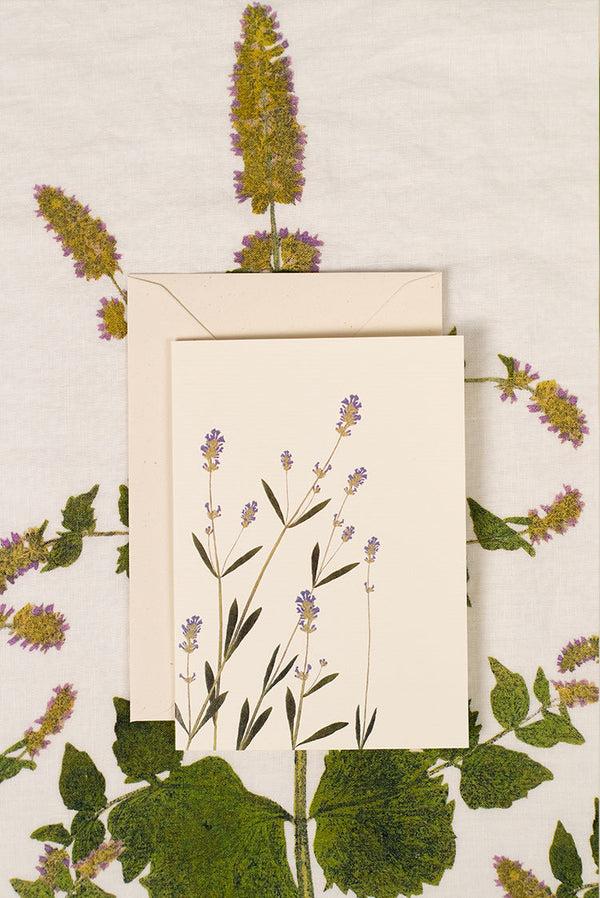 Summerill & Bishop 'Lavender' Greeting Card 15cm X 10cm (A6)