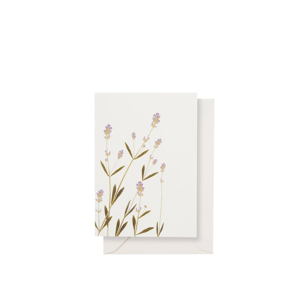 summerill & bishop 'Lavender' Greeting Card 15cm x 10cm (A6)