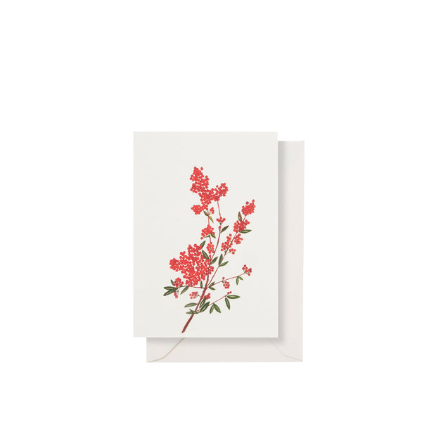 summerill & bishop 'Les Airelles' Greeting Card 15cm x 10cm (A6)