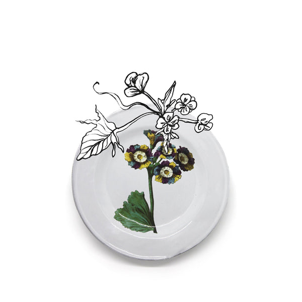 Summerill & Bishop Lord Willoughby's Auricula Flower Plate By Astier De Villatte 22cm