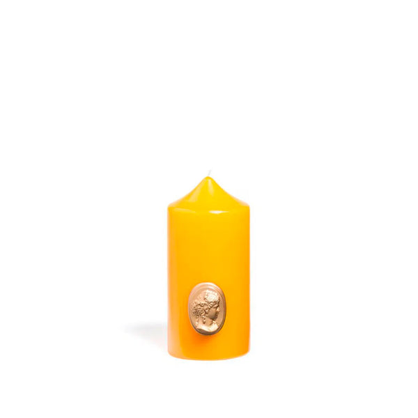 summerill & bishop 'Madame de Pompadour' Cameo Pillar Candle in Mimosa by Trudon 15cm