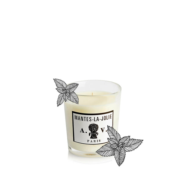 Summerill & Bishop Mantes La Jolie Candle By Astier De Villatte 260g